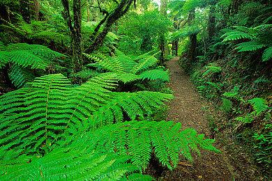 《俄罗斯方块99》联动《火焰纹章：结合》 3月24日上线